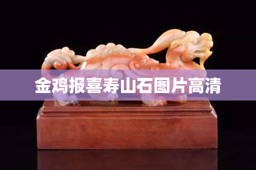 金雞報喜壽山石圖片高清