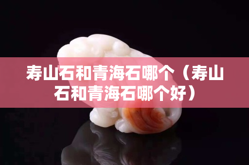 壽山石和青海石哪個（壽山石和青海石哪個好）