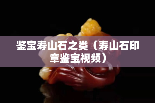 鑒寶壽山石之類（壽山石印章鑒寶視頻）
