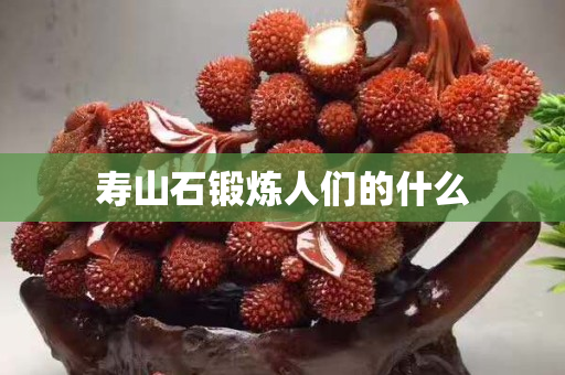 壽山石鍛煉人們的什么 壽山石鍛煉人們的什么