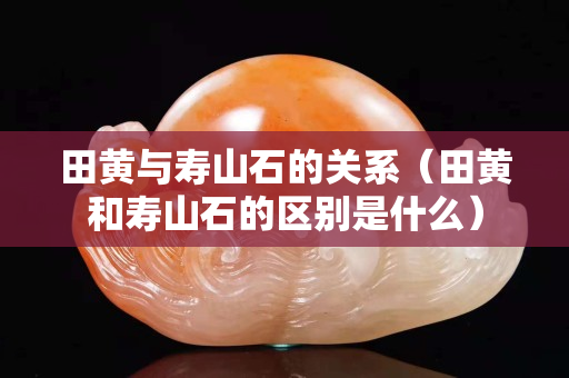 田黃與壽山石的關(guān)系（田黃和壽山石的區(qū)別是什么）