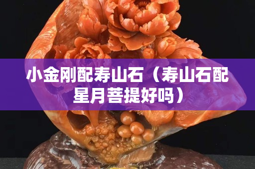 小金剛配壽山石（壽山石配星月菩提好嗎）