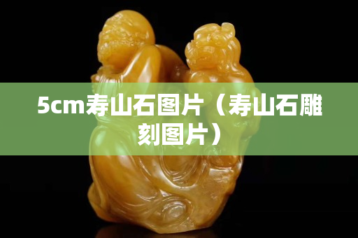 5cm壽山石圖片（壽山石雕刻圖片）