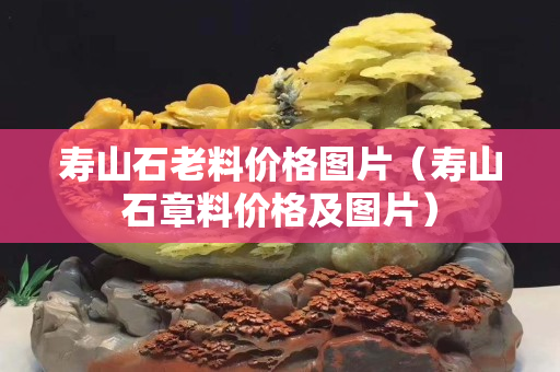 壽山石老料價格圖片（壽山石章料價格及圖片）