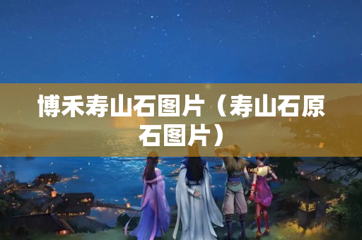 博禾壽山石圖片（壽山石原石圖片）