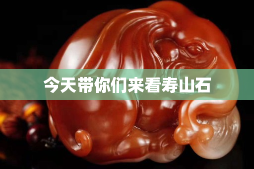 今天帶你們來看壽山石 今天帶你們來看壽山石
