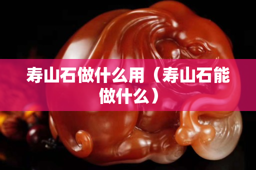 壽山石做什么用（壽山石能做什么）