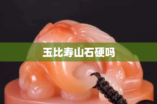 玉比壽山石硬嗎 玉比壽山石硬嗎