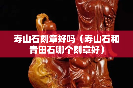 壽山石刻章好嗎（壽山石和青田石哪個刻章好）