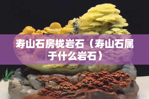 壽山石房櫳巖石（壽山石屬于什么巖石）