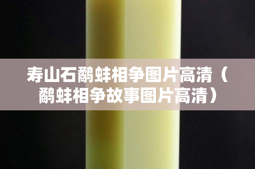 壽山石鷸蚌相爭圖片高清(鷸蚌相爭故事圖片高清) 壽山石鷸蚌相爭圖片高清(鷸蚌相爭故事圖片高清)