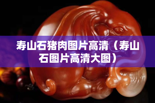 壽山石豬肉圖片高清（壽山石圖片高清大圖）