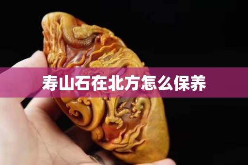 壽山石在北方怎么保養