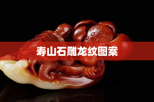 壽山石雕龍紋圖案 壽山石雕龍紋圖案