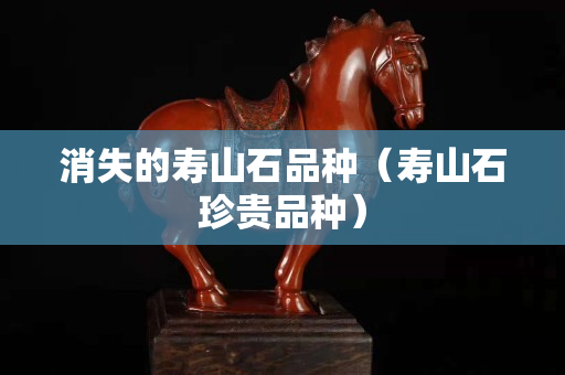 消失的壽山石品種(壽山石珍貴品種) 消失的壽山石品種(壽山石珍貴品種)