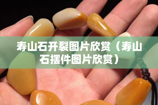 壽山石開裂圖片欣賞（壽山石擺件圖片欣賞）