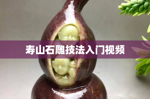 壽山石雕技法入門視頻