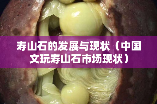 壽山石的發展與現狀（中國文玩壽山石市場現狀）