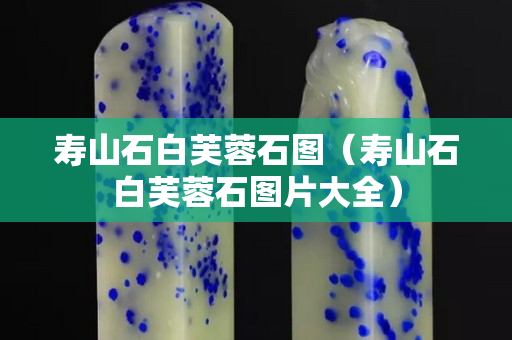 壽山石白芙蓉石圖（壽山石白芙蓉石圖片大全）