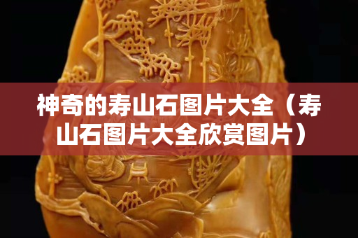 神奇的壽山石圖片大全（壽山石圖片大全欣賞圖片）