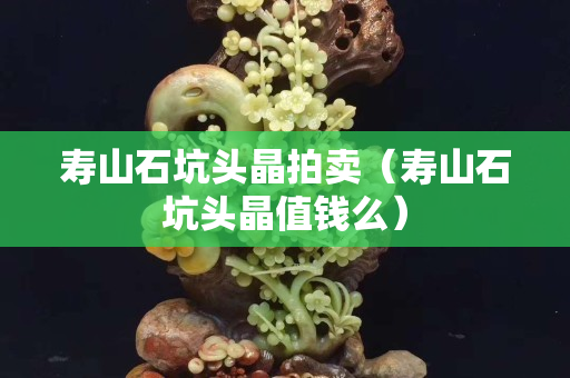 壽山石坑頭晶拍賣(壽山石坑頭晶值錢么) 壽山石坑頭晶拍賣(壽山石坑頭晶值錢么)