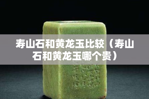 壽山石和黃龍玉比較（壽山石和黃龍玉哪個貴）