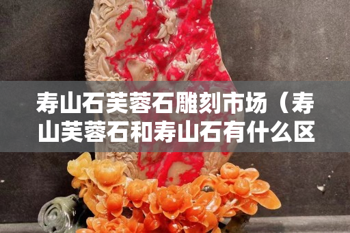 壽山石芙蓉石雕刻市場（壽山芙蓉石和壽山石有什么區別）