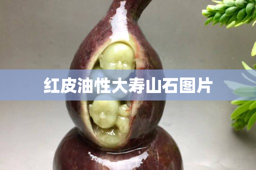 紅皮油性大壽山石圖片 紅皮油性大壽山石圖片