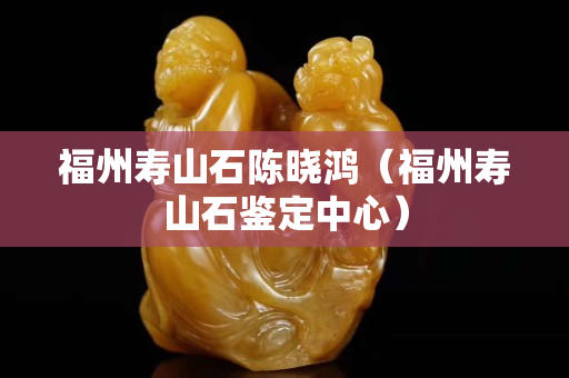 福州壽山石陳曉鴻（福州壽山石鑒定中心）