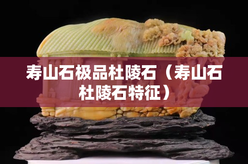 壽山石極品杜陵石（壽山石杜陵石特征）