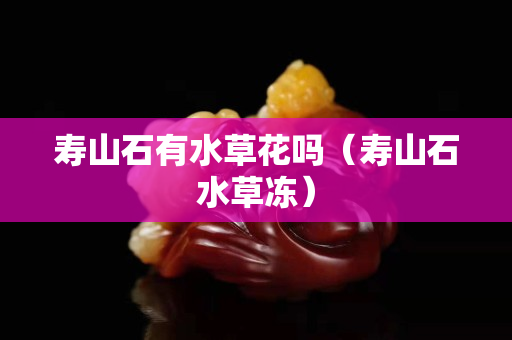 壽山石有水草花嗎（壽山石水草凍）