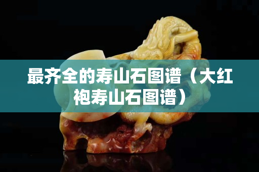 最齊全的壽山石圖譜（大紅袍壽山石圖譜）