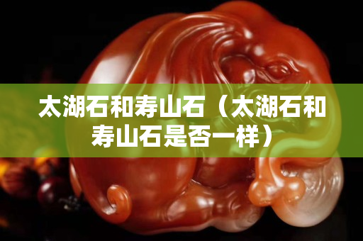太湖石和壽山石(太湖石和壽山石是否一樣) 太湖石和壽山石(太湖石和壽山石是否一樣)