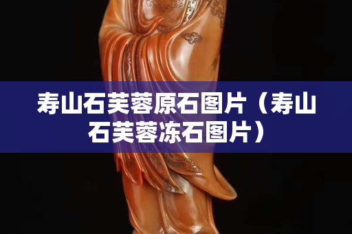 壽山石芙蓉原石圖片（壽山石芙蓉凍石圖片）