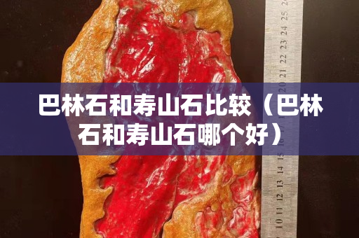 巴林石和壽山石比較（巴林石和壽山石哪個好）