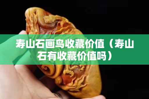 壽山石畫鳥收藏價值（壽山石有收藏價值嗎）