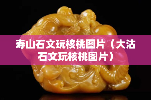 壽山石文玩核桃圖片（大沽石文玩核桃圖片）