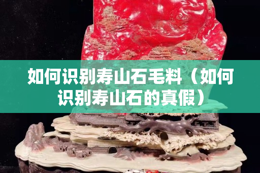 如何識別壽山石毛料（如何識別壽山石的真假）
