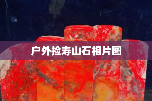 戶外撿壽山石相片圖