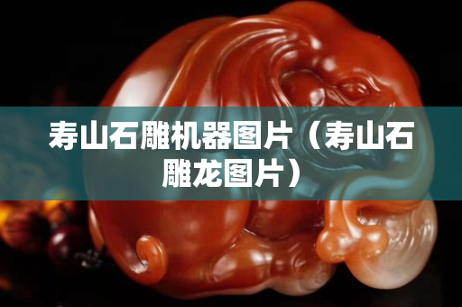 壽山石雕機器圖片（壽山石雕龍圖片）