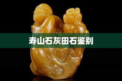 壽山石灰田石鑒別