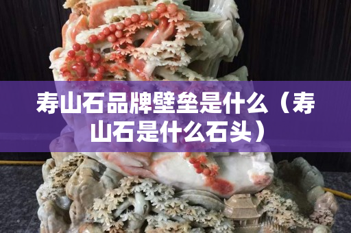 壽山石品牌壁壘是什么（壽山石是什么石頭）