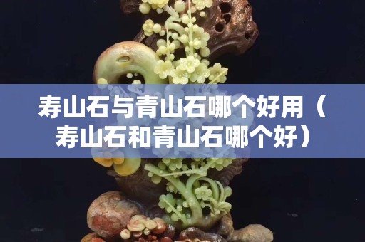 壽山石與青山石哪個好用（壽山石和青山石哪個好）
