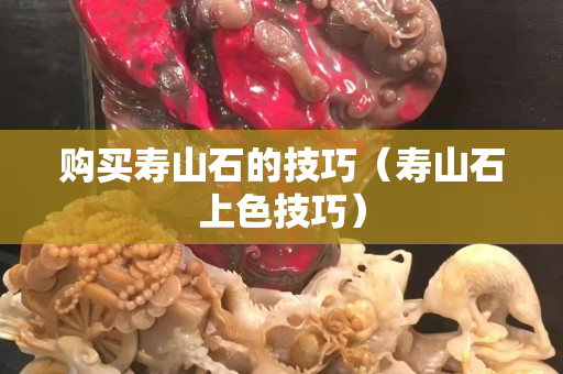 購(gòu)買壽山石的技巧（壽山石上色技巧）