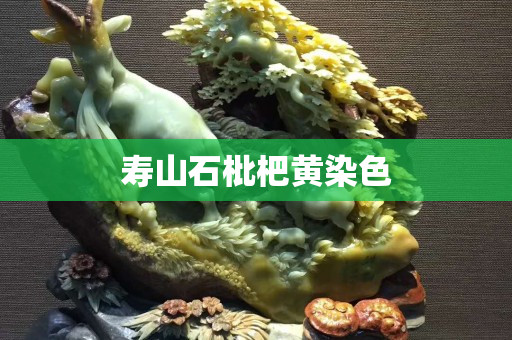 壽山石枇杷黃染色