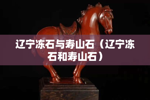 遼寧凍石與壽山石（遼寧凍石和壽山石）