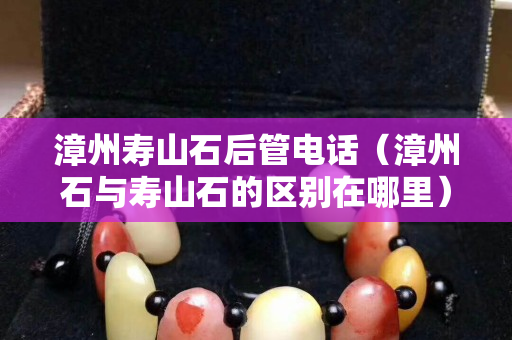 漳州壽山石后管電話（漳州石與壽山石的區(qū)別在哪里）
