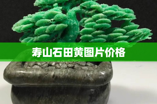 壽山石田黃圖片價格