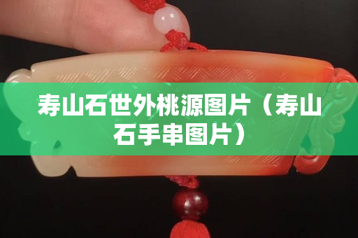 壽山石世外桃源圖片（壽山石手串圖片）