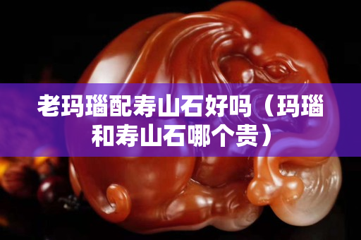 老瑪瑙配壽山石好嗎（瑪瑙和壽山石哪個(gè)貴）